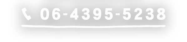 06-4395-5238